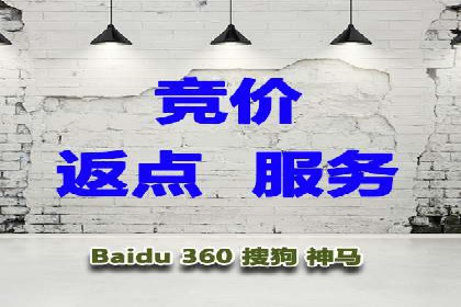 如何在sem竞价托管中取得卓越效果——案例解读